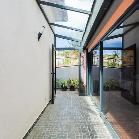 Dona Maria - Tronco Da Serra Campanário