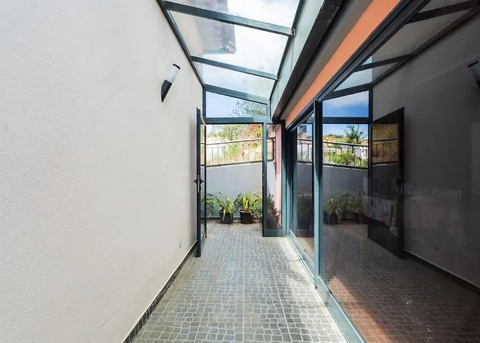 Dona Maria - Tronco Da Serra Campanário